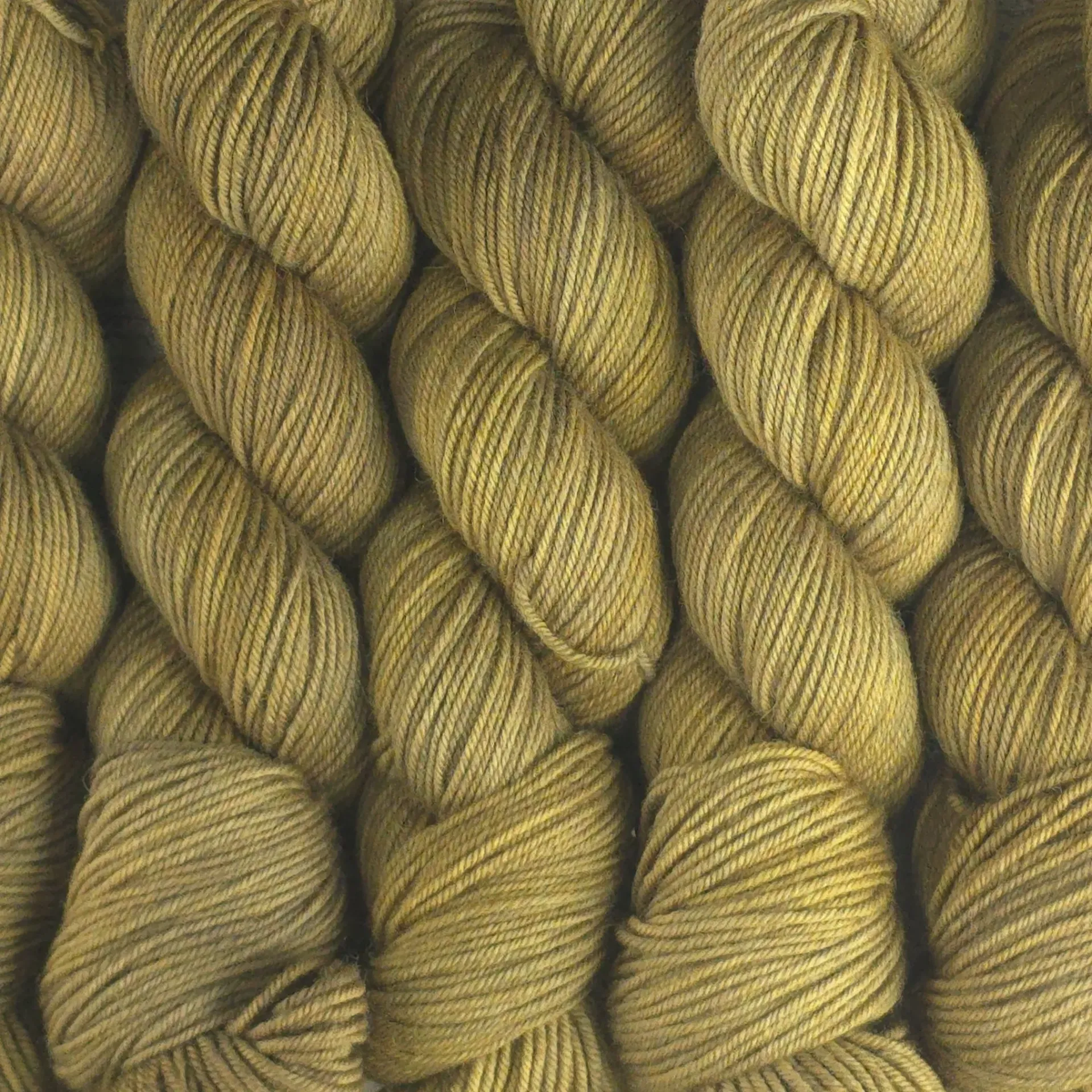 4th WAVE: #MANVSBEAR (MIMI SOCK)